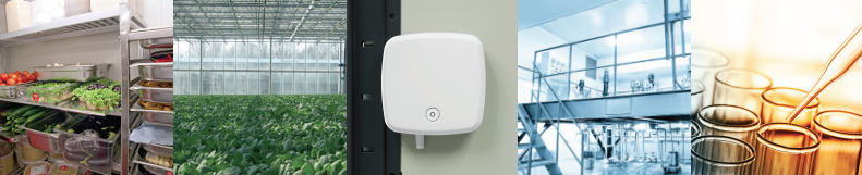 1669629810783245.png 777777.png